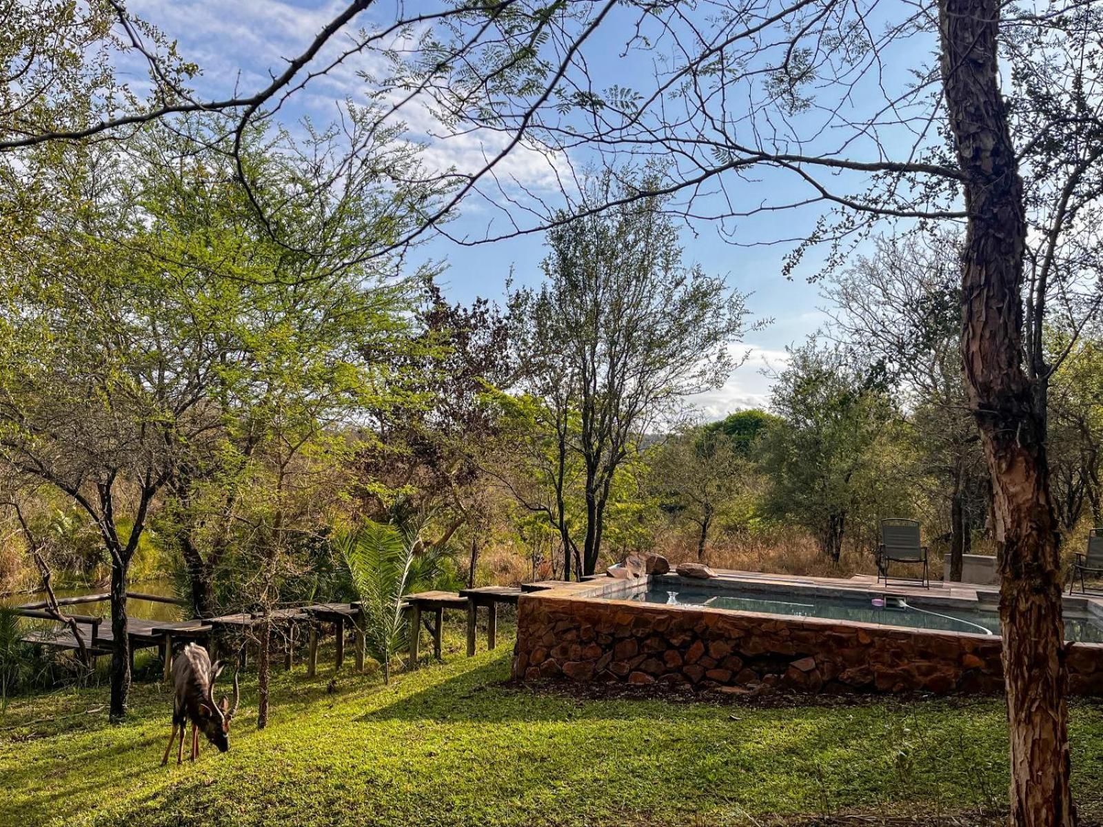 Mbuluzi Game Reserve Simunye Oda fotoğraf
