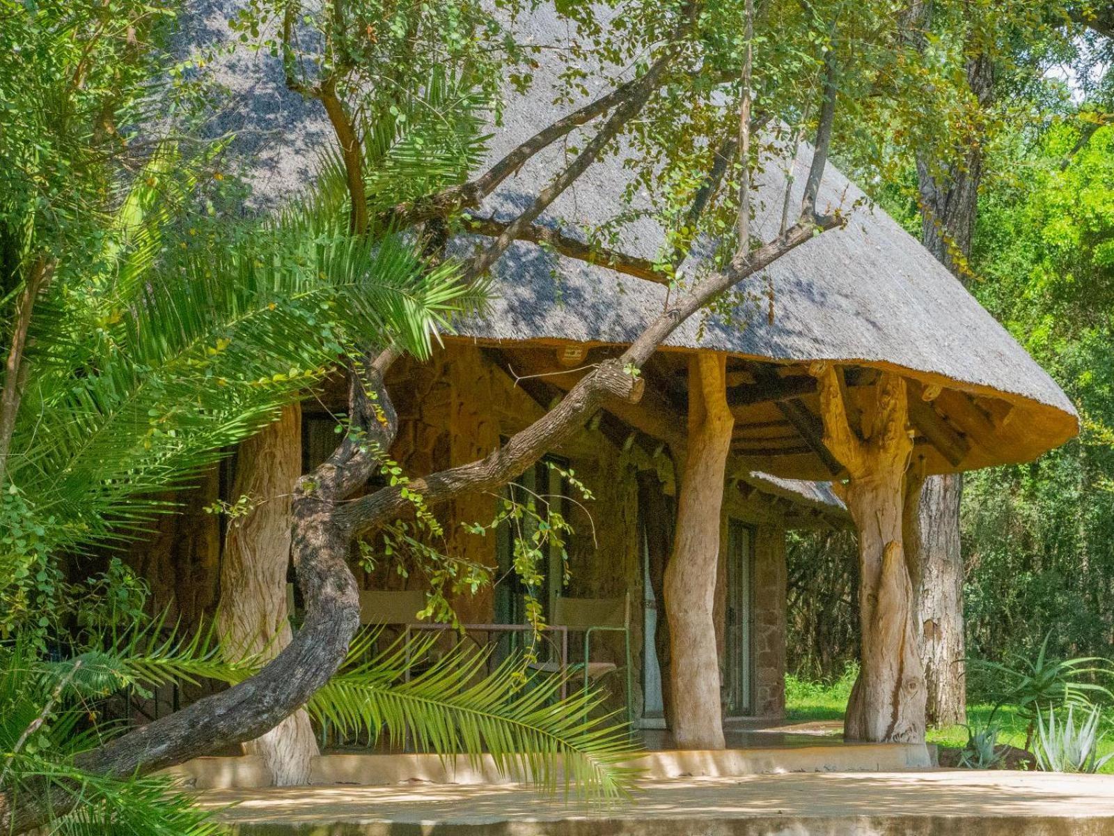 Mbuluzi Game Reserve Simunye Oda fotoğraf