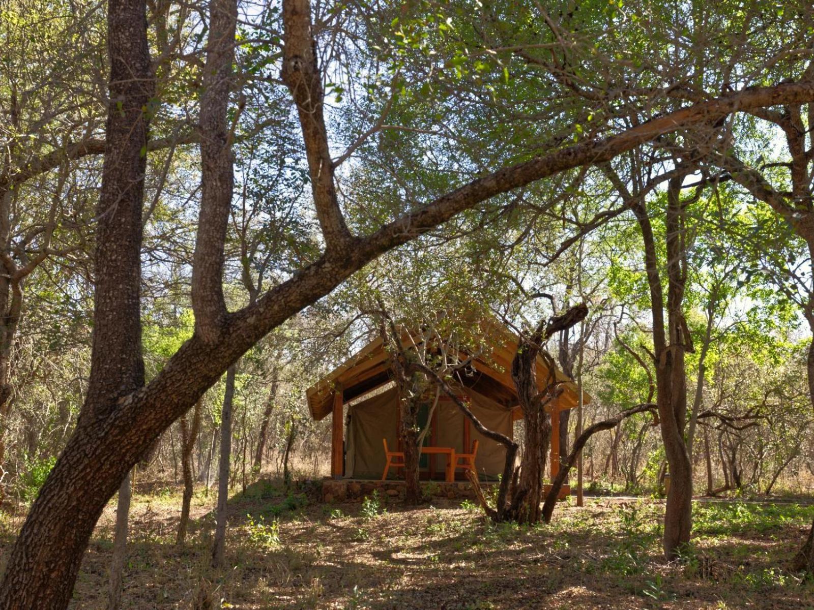 Mbuluzi Game Reserve Simunye Oda fotoğraf